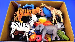 Learn Zoo Animal and Sea Animal Names For Kids Animal Planet Education Fun Video [upl. by Also]