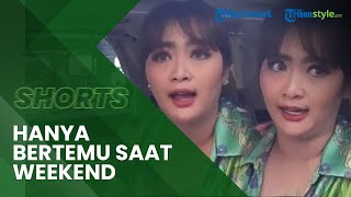 Vega Darwanti Tinggal Berjauhan dengan Suami Sejak Menikah 13 Tahun Lalu Hanya Bertemu saat Weekend [upl. by Chlo]