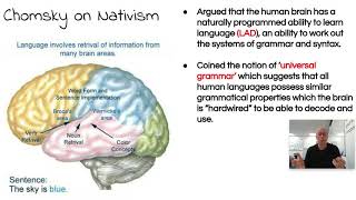 English Language A Level CLD Theory  Behaviourism and Nativism Paul Heselton [upl. by Fantasia315]