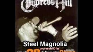 13 Cypress Hill Live Argentina  Steel Magnolia [upl. by Elimac]