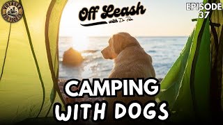 Camping With Dogs [upl. by Moran]