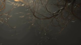 4K Neuron Synapse Network Loopable Stock Motion Graphics [upl. by Anila781]