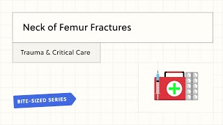 Neck of Femur Fractures [upl. by Ashlee]