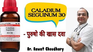 Caladium Seg explained  ढीलापन  Size  Tobbacco  तम्बाकू [upl. by Aser]