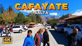 CAFAYATE🔸La CUNA de los VINOS SALTEÑOS  ARGENTINA 🇦🇷 [upl. by Adalard]