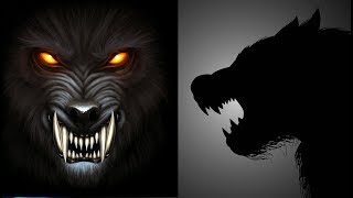 Types of Werewolves [upl. by Iem]