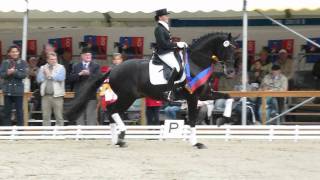 wwwreitschulesandbrinkde FÜRSTENBALL Championatssieger Rastede Dressage [upl. by Traver366]