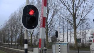 A Light Rail Railroad Crossing  Light Rail Station Spinnerij in Amstelveen [upl. by Jeremy]