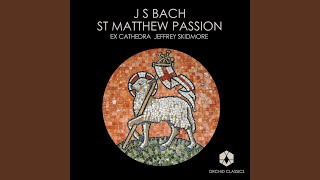 St Matthew Passion BWV 244 Sung in English  Part I Recitative And going further he [upl. by Mccreery]