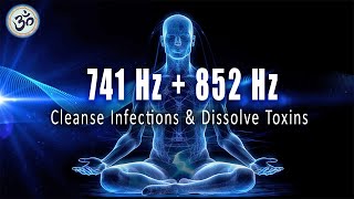 741 Hz  852 Hz Cleanse Infections amp Dissolve Toxins Boost Immune System Love Frequency Healing [upl. by Airret]