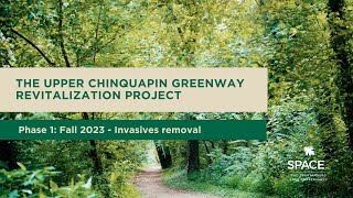 Upper Chinquapin Greenway Revitalization Project  Phase 1 Invasives Removal [upl. by Akiret]