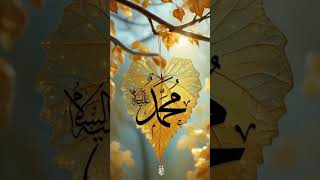 Best Islamic short video💯🌹💫 islamicvideo islamicvideo allahhuakbarallahhuakbar loveallah [upl. by Damek231]