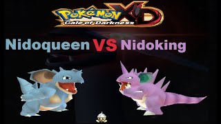 Pokemon XD Nidoking VS Nidoqueen [upl. by Zipah]