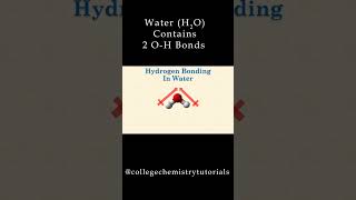 Hydrogen Bonding Explained [upl. by Letsirk]