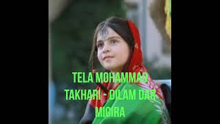 Afghan Song Tela Mohammad Takhari  Dilam Dar Migira دلم در میگیره [upl. by Lissie]