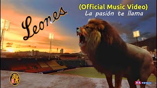 Leones del Caracas  ♪ León León León León ♪ Remix Official Music Video [upl. by Rahcir]