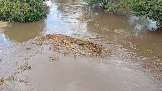 Cheia no Rio da Chuva de Mais de 200mm Primeira Trovoada 4 de Dezembro 2024 Piancó PB [upl. by Ahsiened]