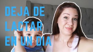 Como Dejo de Lactar Amamantar a mi Bebe en un Dia  Consejos de Mama [upl. by Enedan584]