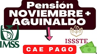 💯¡ya CAYO 💰DEPOSITOS PENSION IMSS E ISSSTE NOVIEMBRE 2024 [upl. by Eatnoid]