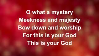 Meekness And Majesty  Worship Lyric Videos Preview [upl. by Rehtae]