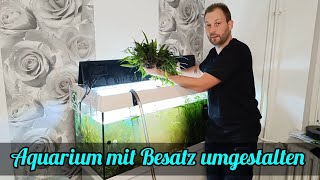 Aquarium mit Besatz umgestalten  Wasserwechsel beim Aquarium durchführen [upl. by Sucramaj]