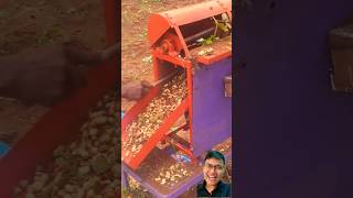 Farmers DIY Peanut Harvester Fast and Efficient sonasmr [upl. by Ecinev722]