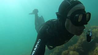 Louis Shied Wreck Thurlestone Devon freedive or scuba [upl. by Meid]