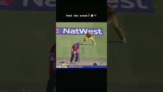 Stumps cartwheeling cricket edit by Hasnain cricket pakteamnewbowlingcoaches [upl. by Krauss159]