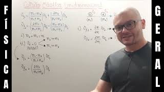 229 Física I e Mec Geral  Colisão Elástica Unidimensional  Casos Particulares [upl. by Wesla574]