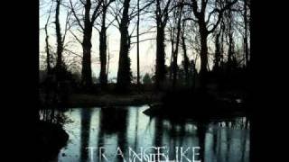 Trancelike Void  Where Trees Can Make It Rain Full Album [upl. by Aicenert233]