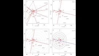 Genotype GenotypebyEnvironment GGEBiplots using GGEBiplots package in R [upl. by Neeven]