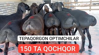 TEPAQORGON OPTIMCHILAR FIRMASIGA KELDIK 943009770 MANZIL NAMANGAN DASTAPKA BOR [upl. by Akimehs]