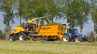 New Holland FR9080  Oste Gebroeders  gras hakselen [upl. by Leay798]