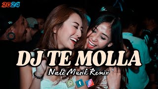 DJ TE MOLLA  NALE MUSIK REMIX [upl. by Aimar351]