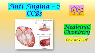 CVS part 2 Anti Angina 2 CCBs  Medicinal Chemistry T  PDF 👇 [upl. by Llenyaj723]