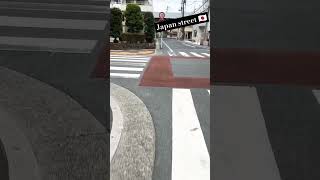 JAPAN STREET japanstreet traveldestinations travel fypシ゚viralシ viralvideo [upl. by Aloise272]