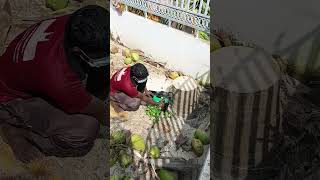 Sabarinathan tree cutter pattukkottai 8072635013 [upl. by Elset]