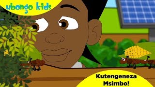 Ubongo Kids Webisode 49  Kutengeneza Msimbo  Katuni za Elimu kwa Kiswahili [upl. by Maxia]