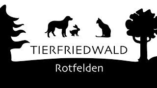 Tierfriedwald Rotfelden Nordschwarzwald  Tierfriedhof  Pet cemetery im Mai 2024 [upl. by Notnarb486]