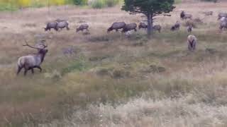 COLORADO ESTES PARK [upl. by Arehc]