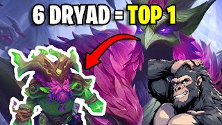 Como jugar Dryad  Driade en team fight tactics set 11 🦌 [upl. by Novyaj]