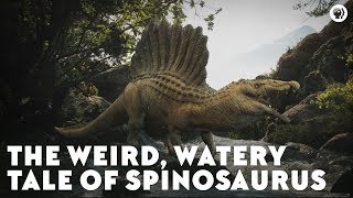 The Weird Watery Tale of Spinosaurus [upl. by Yggep521]