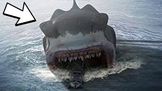 MEGALODON SHARK SIGHTINGS and FACTS [upl. by Atikan526]