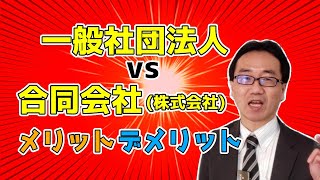 合同会社、一般社団法人、株式会社の選択②（一般社団法人VS合同会社、株式会社） [upl. by Naik]