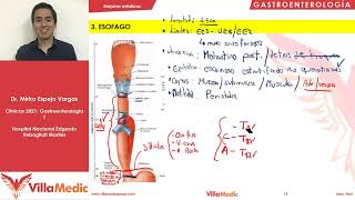 Patología de esófago  Gastroenterología  Villamedic Clínicas 2021 [upl. by Prior]