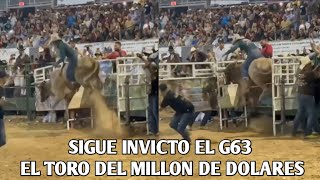 Chinflas de Jalisco VS el g63 de rancho el aguaje Otro jinetazo qué no le aguanta los reparos [upl. by Furnary32]