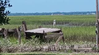 Barge Traversing the IntraCoastal Waterway [upl. by Shaine968]