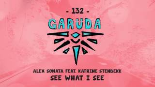 Alex Sonata feat Katrine Stenbekk  See What I See [upl. by Boycey387]