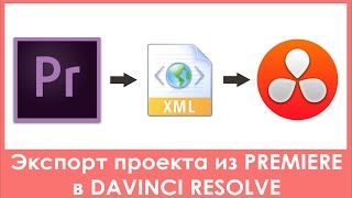 Экспорт конформинг проекта из Premiere Pro в Davinci Resolve через XML [upl. by Ettore]