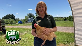 Camp TV  Episode 12  Pets Day featuring MSU Tollgate Farm and Education Center [upl. by Bowes176]